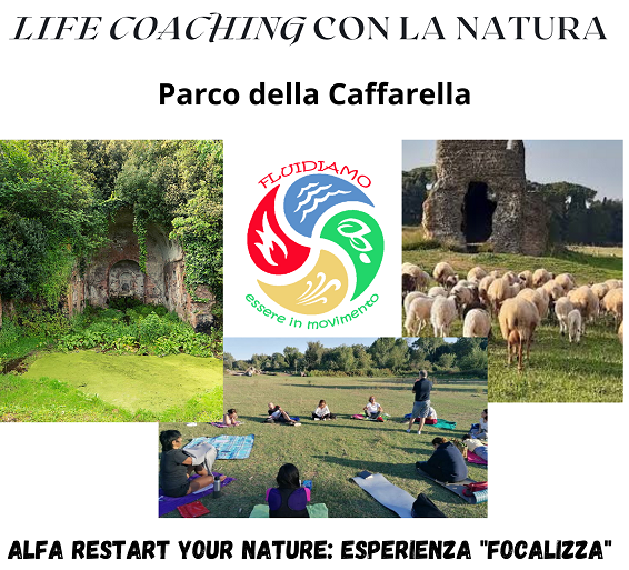 ALFA Restart your Nature: Esperienza FOCALIZZA.
