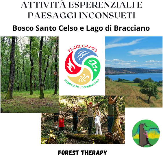 Bosco San Celso e giro in battello sul lago di Bracciano